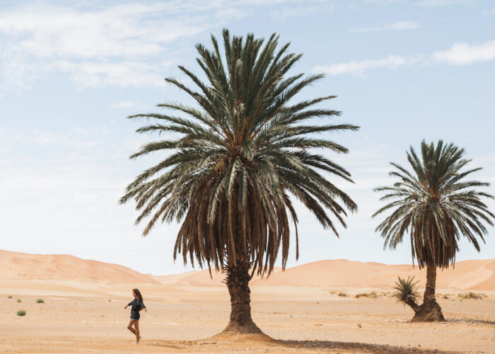 10 días por el desierto de Marruecos desde Casablanca