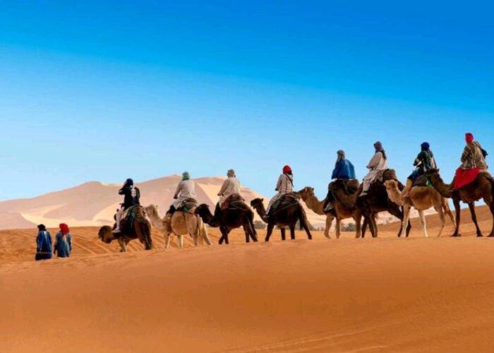 actividades en el desierto